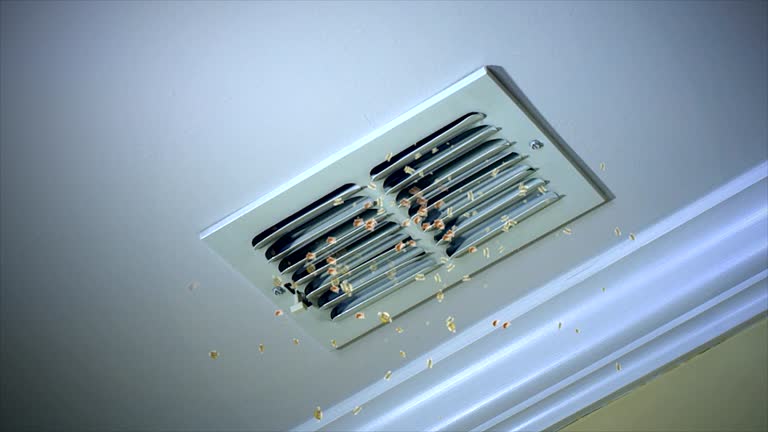 Best Air Duct Cleaning Company Near Me  in Gilbert, IA