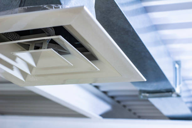 Best Air Duct Mold Removal  in Gilbert, IA
